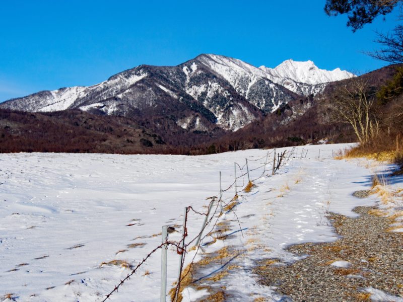 雪山の三ツ頭2,580m（八ヶ岳）