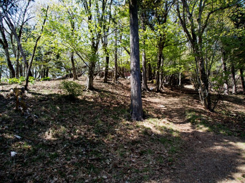 武甲山（1,340ｍ）