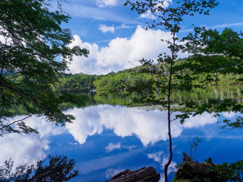 快晴の八ヶ岳：ニュウ(2,352m)