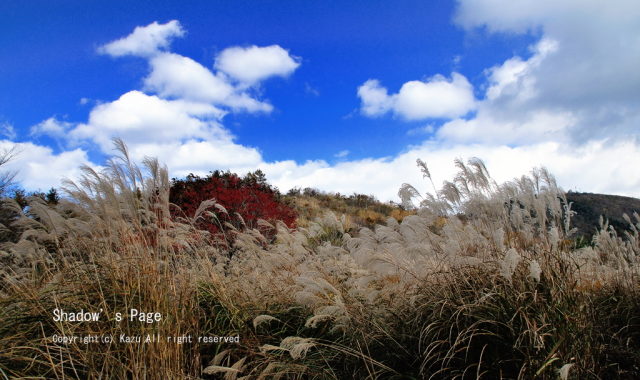 山中湖畔東海道登山