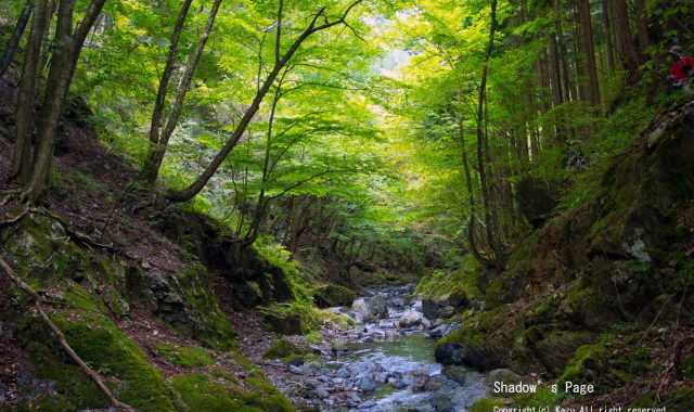 川苔山(1,363m）登山