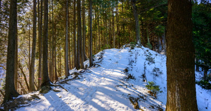 積雪の伊豆ケ岳（851m）