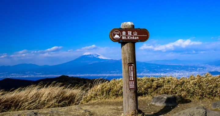 強風の達磨山(982m)＆金冠山