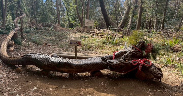 南高尾セブンサミッツ