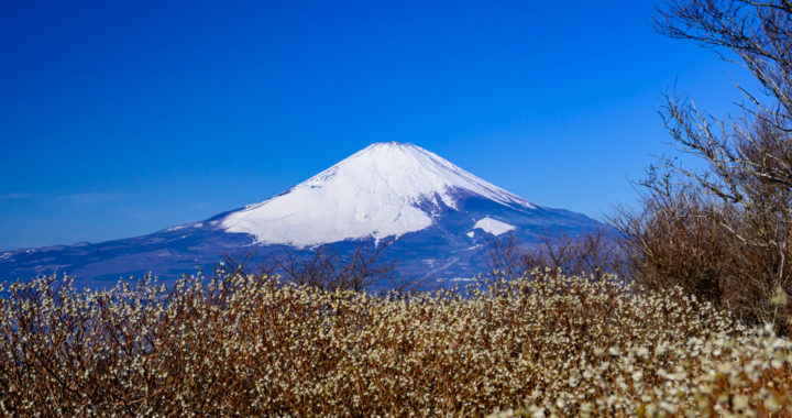 富士山絶景の矢倉岳(870m)