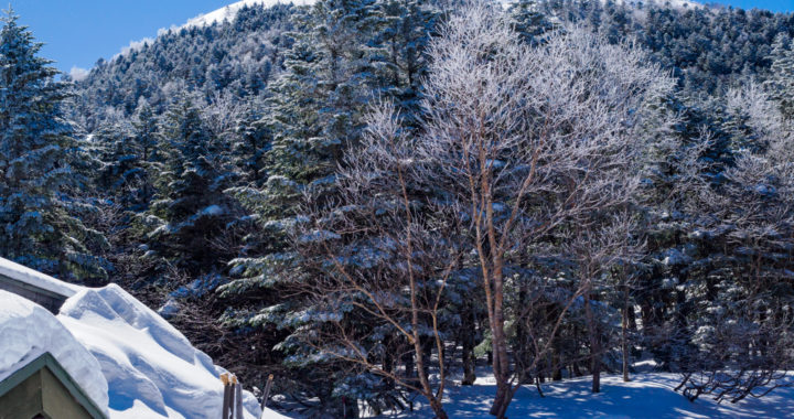 雪の蓼科山(2,531m)
